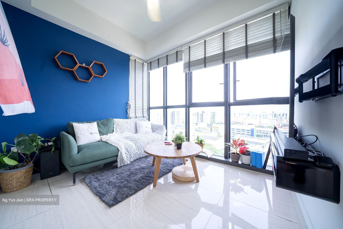 Sims Urban Oasis (D14), Condominium #535021681